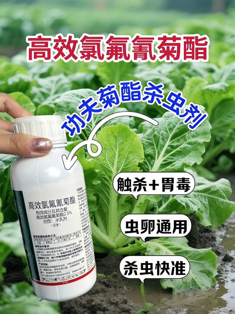 宁夏代生中心:农药对供卵代生妈妈的危害